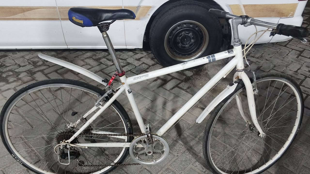 باسكل لبيع c700
مابي اي نقص 
العنوان/ مدينه الصدر 
السعر/80الف 
الارقم/***********
