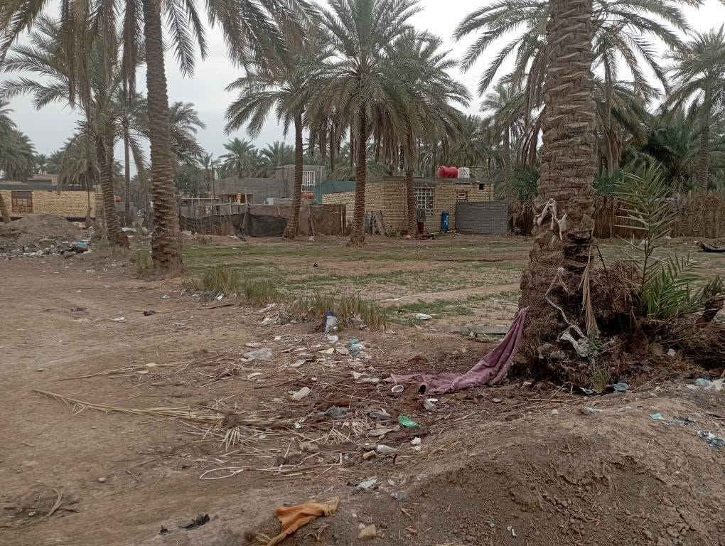 سلام عليكم يتوفر قطع ارض مساحتها 878منر جنس الأرض ملك صرف زراعي حق التصرف سعر 85مليون يتوفر قطع ارض واجهه شارع مساحة 1600متر  طابو زراعي سند 25 سعر 80مليون موقع أثار بابل حي المرتضى شار الصيدلي يتوفر 2دونم واجهه شط واجهه جدول قرب سيطرت الاثار منطقة السوره الي يحب اكو عروض متوفره رقم الهاتف وتساب *********** حلة, بابل
