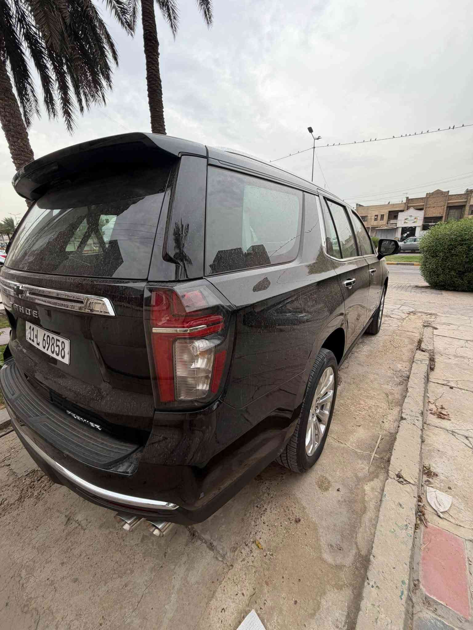 تاهو بريمير • ٢٠٢٤ • مكفولة شركة