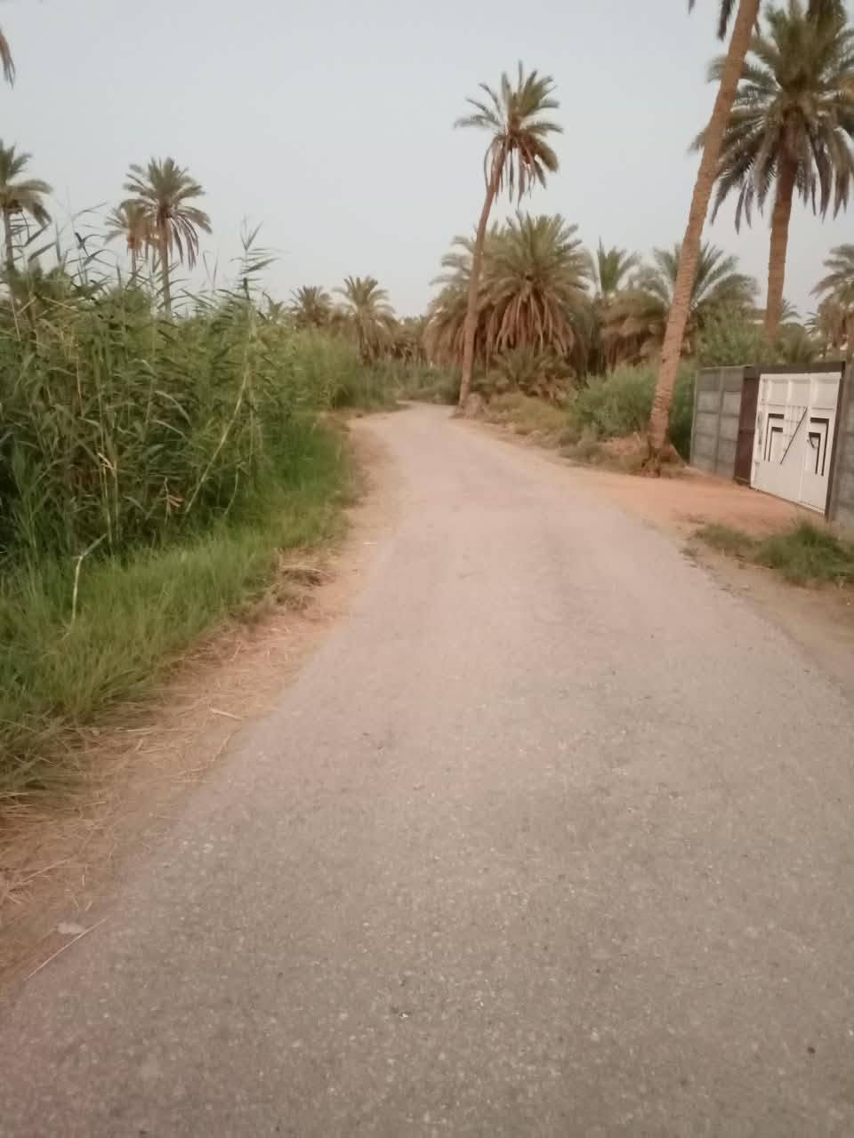 مسيجة • طابو زراعي سند ٢٥ • ٢٥٠٠م٢