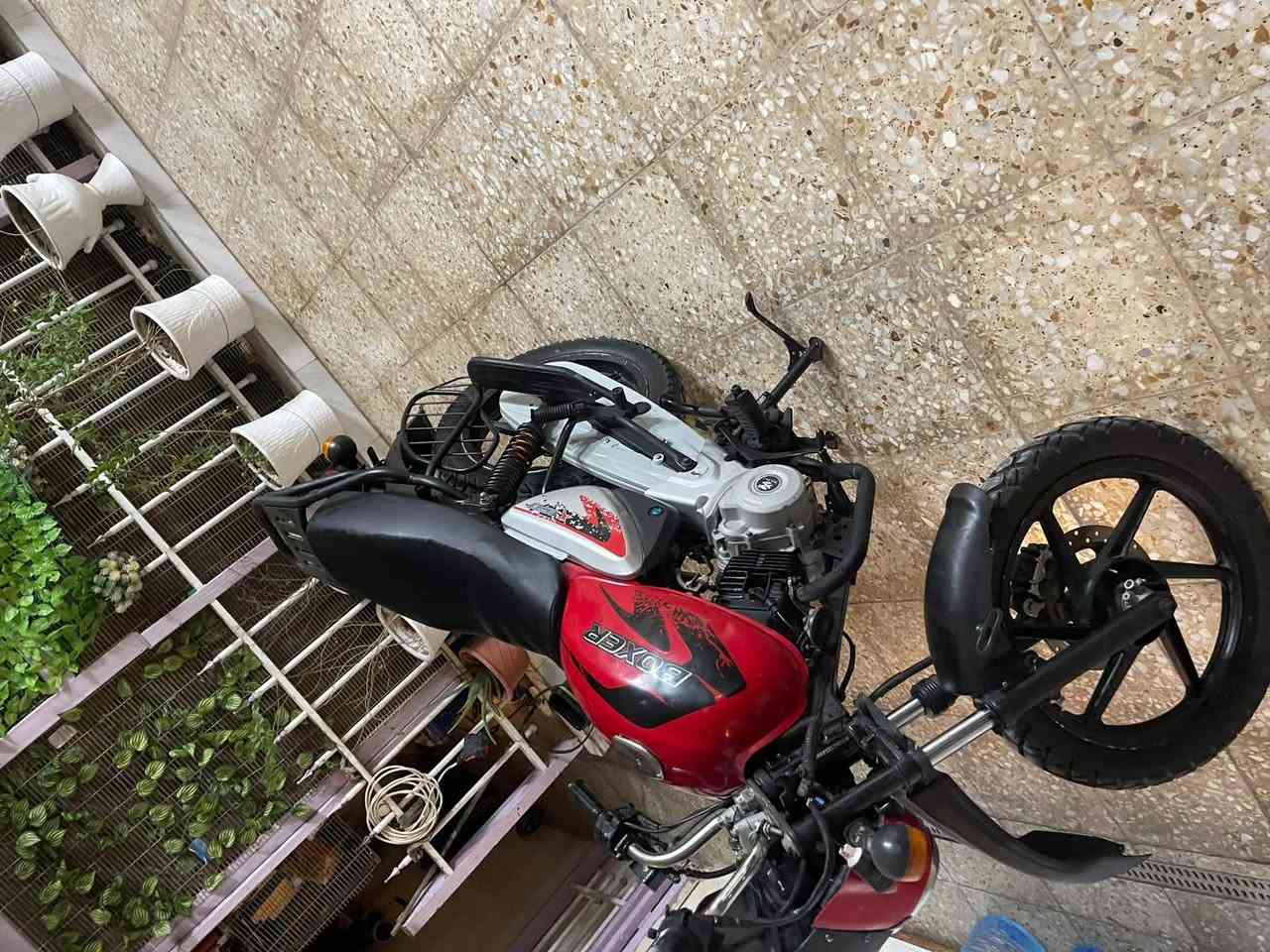 بوكسر • موديل ٢٢ • عوزه سلف