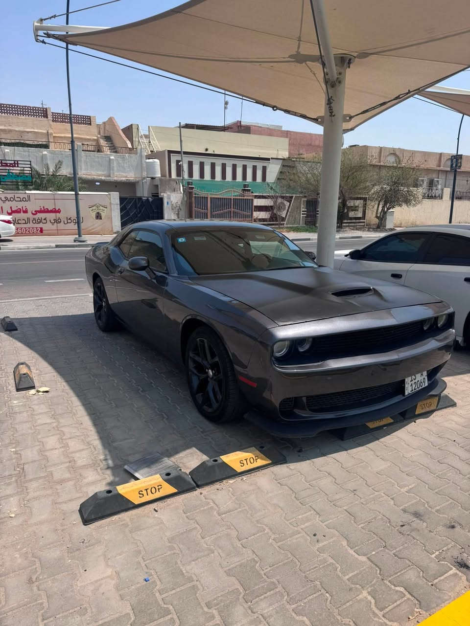السلام عليكم جالنجر 2019 باسمي هزه ورقم جديد وارد امريكي حادث جاملق وبنيد ناشر صور الحادث والسونار الجاملق الخلفي كلير من امريكا بدون ضربه السياره جاهزه للاخير ما ناقصهه شي من مكينه وكير وتبريد وتحداديه وتخم تاير مكينه 3600 رايدها ب135 
***********
مكاني بصره دور الضباط

