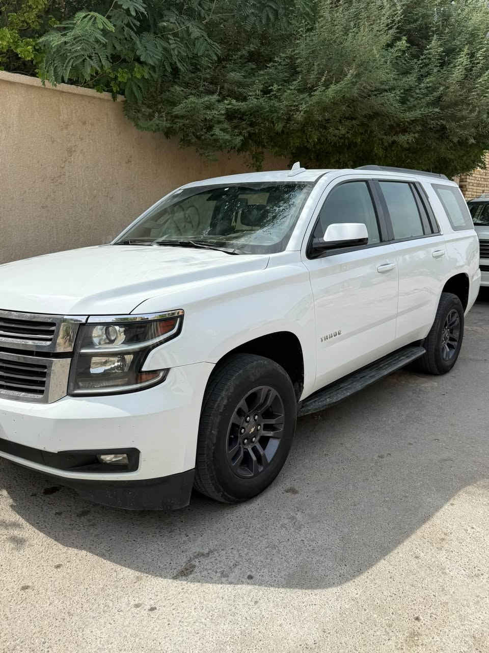 تاهو • ٢٠١٦ • مكفوله