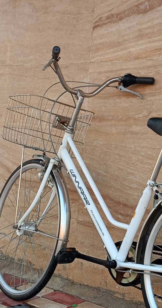الكتابة
السلام عليكم ورحمة الله وبركاته 🌹
🚲 دراجة هوائية للبيع – نوع بناتي 🚲
🔹 الحجم: 27
🔹 البالة: أصلية يابانية 🇯🇵
🔹 كير وحساس ⚙️ سله اصليه 
🔹 الويل بطبقتين
🔹 تايرات جوبلس 🔥 يعني تنسى البنجر أو نزول التاير 💯
📍 العنوان: كربلاء – طويريج
🚚 تتوفر خدمة توصيل لجميع محافظات العراق 🇮🇶
📩 للاستفسار أكثر: خاص أو على الرقم
📞 ***********
