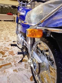 اوراق • سكنس • جديدة