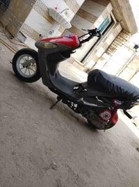 بوشه • ٥٥ • سلف نكرة