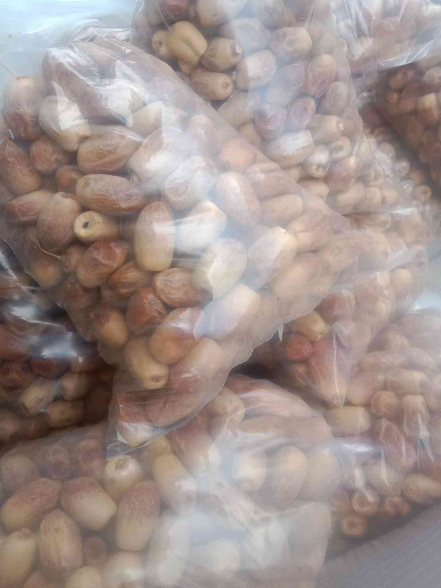 تمور • كل الأنواع • قرب جسر البوعلوان