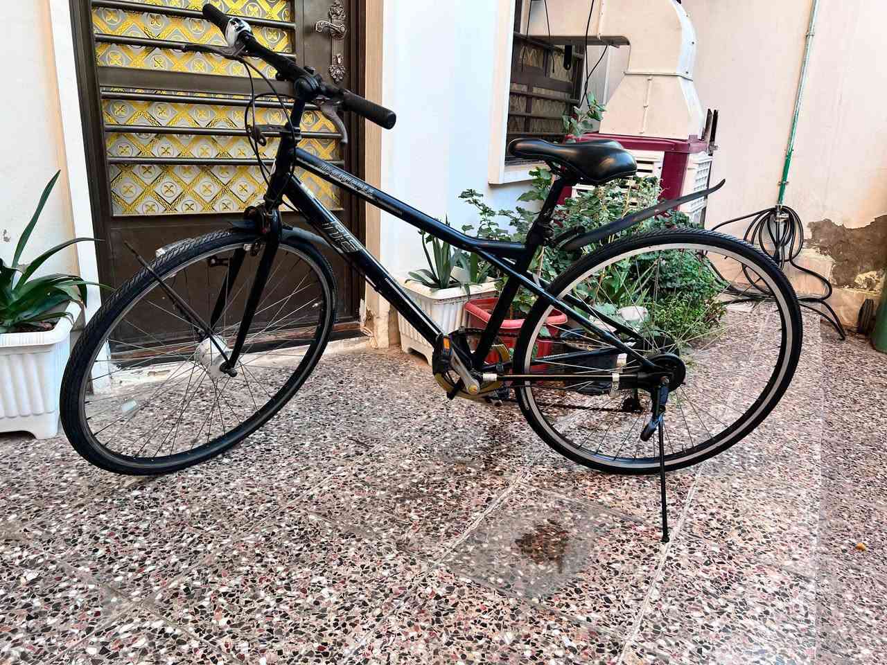 دراجة يابانية هجينة (غالباً من إنتاج Bridgestone أو علامة يابانية مماثلة).

حجم الإطار (العجلات)

27 إنش (إطارات رفيعة قياس 27/700c مخصصة للسرعة والطرق المعبدة).

حجم الهيكل (الشاسي)

متوسط/صغير (مناسب لأطوال بين 155 سم إلى 175 سم).

مادة الهيكل

ألمنيوم خفيف الوزن ومقاوم للصدأ

دينامو أوتوماتيكي مدمج في الصرة الأمامية (Dynamo Hub) مع ضوء LED أمامي.
مكاني بغداد الأمين الثانية 
السعر 95 ألف تلفون ***********
