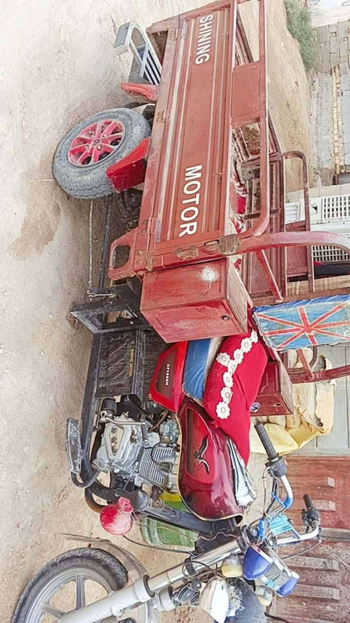 ستوته • ٢٠١٦ • شاصي مكفول
