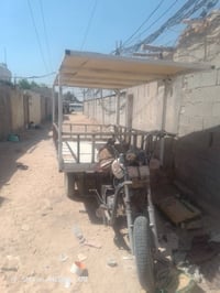 ستوته • مخضر • مكفولة