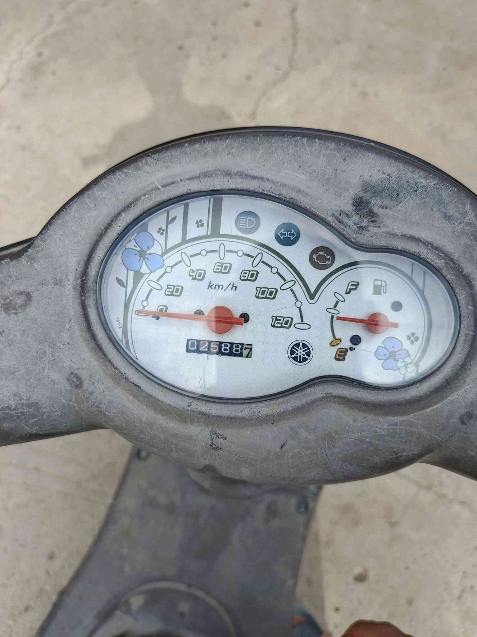 فله • موديل ١١ • مفتوحه