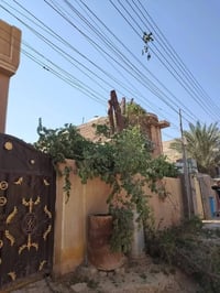قطع أشجار • قص نخيل • بستنة