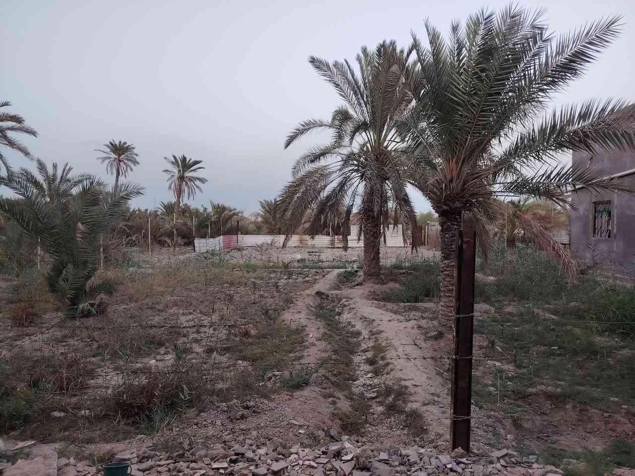 قطعتين • ٧٠٠م • ٦٠٠م