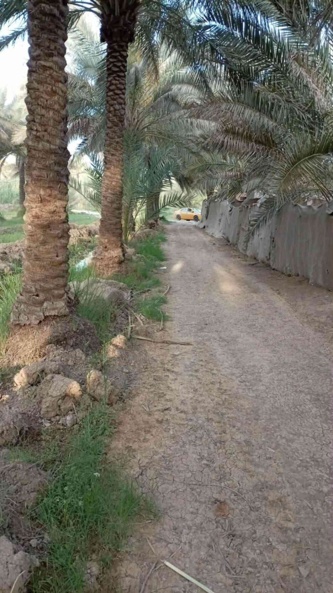 بيت للبيع • البراهميه • دونمين