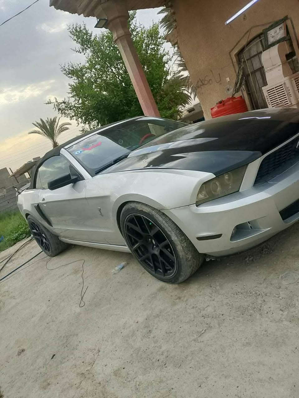 سعر معقول وبسيط تفضل خاص وتدلل

موستنك 2011 كشف حادثها جاملغ السايق وشويه من بنيد 

نواقصها بسيطه 

1 نضوح ب قبق مال محرك فوك قليل نضوحها 

2 بلكات تخم شلعه ضعيفه بس معدل امشي بيها 180 تجي ركض بس شلعه بطناش ضعيفه 

3 تنضيف نوزلات 

4 جامه الوره الصغيره مجلبه كامت متصعد 

5 دوشمتها الداخليه شويه تعبانه الكشنات

6 دسكات بريك منتهيه

مكاني بغداد الشعله
وتساب 
***********
