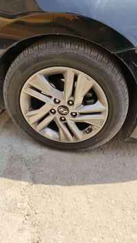 مراوس بويل • ١٥