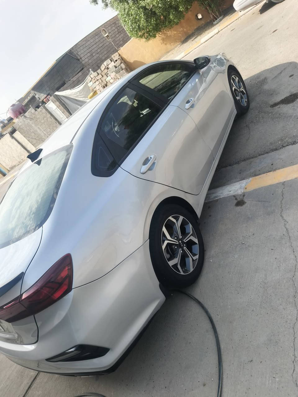 فورتي ٢٠١٩ • وارد أمريكي • طابه كلين