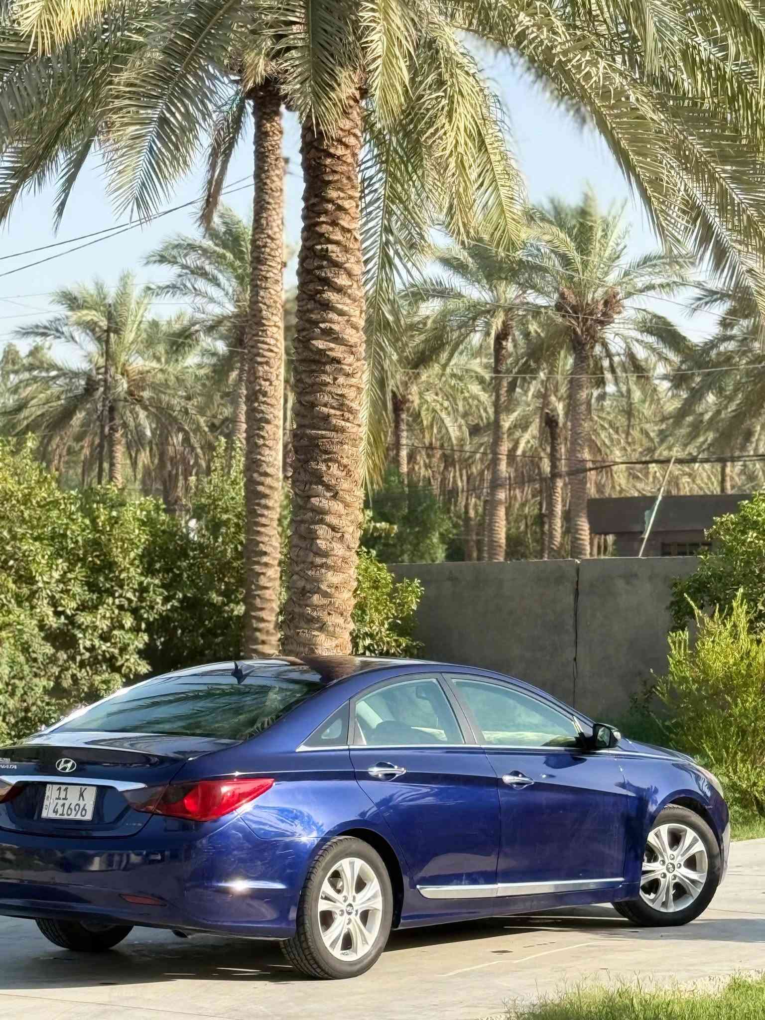 سوناتا 2013 وارد كوري للبيع فول مواصفات للأخيرvip
قطعتين صبغ بنيد وجاملغ خلفي بدون دواخل شرط السونار
رقم بغداد بسمي هزه وسنويه جديدة
بصمه تشغيل 
كراسي كهرباء
فتحه سقف 
كشنات تدفئة تبريد
تخم تاير 
حداديه جديدة
تبريد ثلج 
مري شفط 
كاميرا دواره
حساسات
مكان السياوه بابل_مشروع المسيب
السعر 90
غير متواجد ع ألفيس
للاتصال ***********
***********
