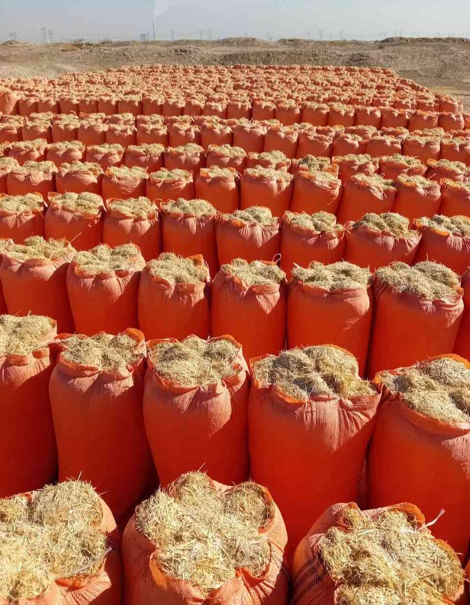 السلام عليكم تبن ترس فول درجه اولى راسكم            أبو60 الزوج ب 2500 مطروح بالمكان التواصل عندنا خدمه توصيل باجره كل المحافظات على الهاتف ***********  /***********ويوجد خدمة توصيل أجرة بغداد وديالى
