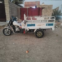 ستوته أم الطير • موديل ٢٠٢١ • اوراق كامله