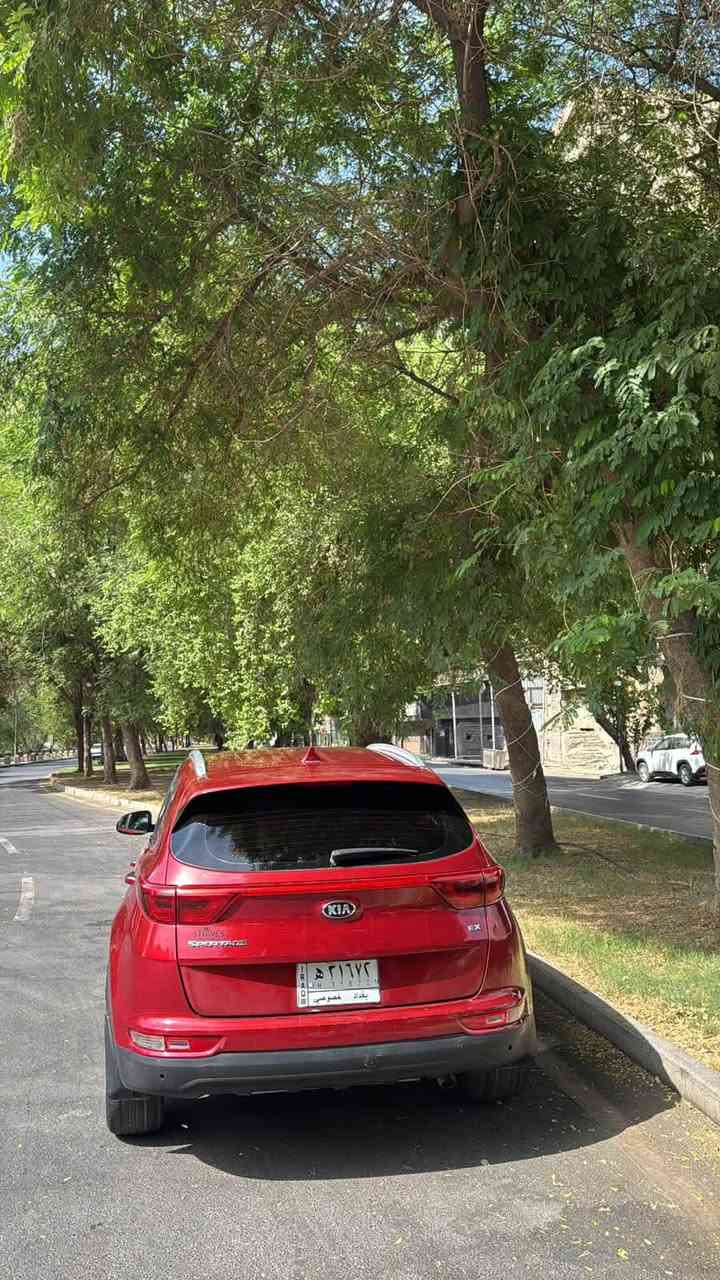 سبورتج EX • ٢٠١٧ • رقم بغداد