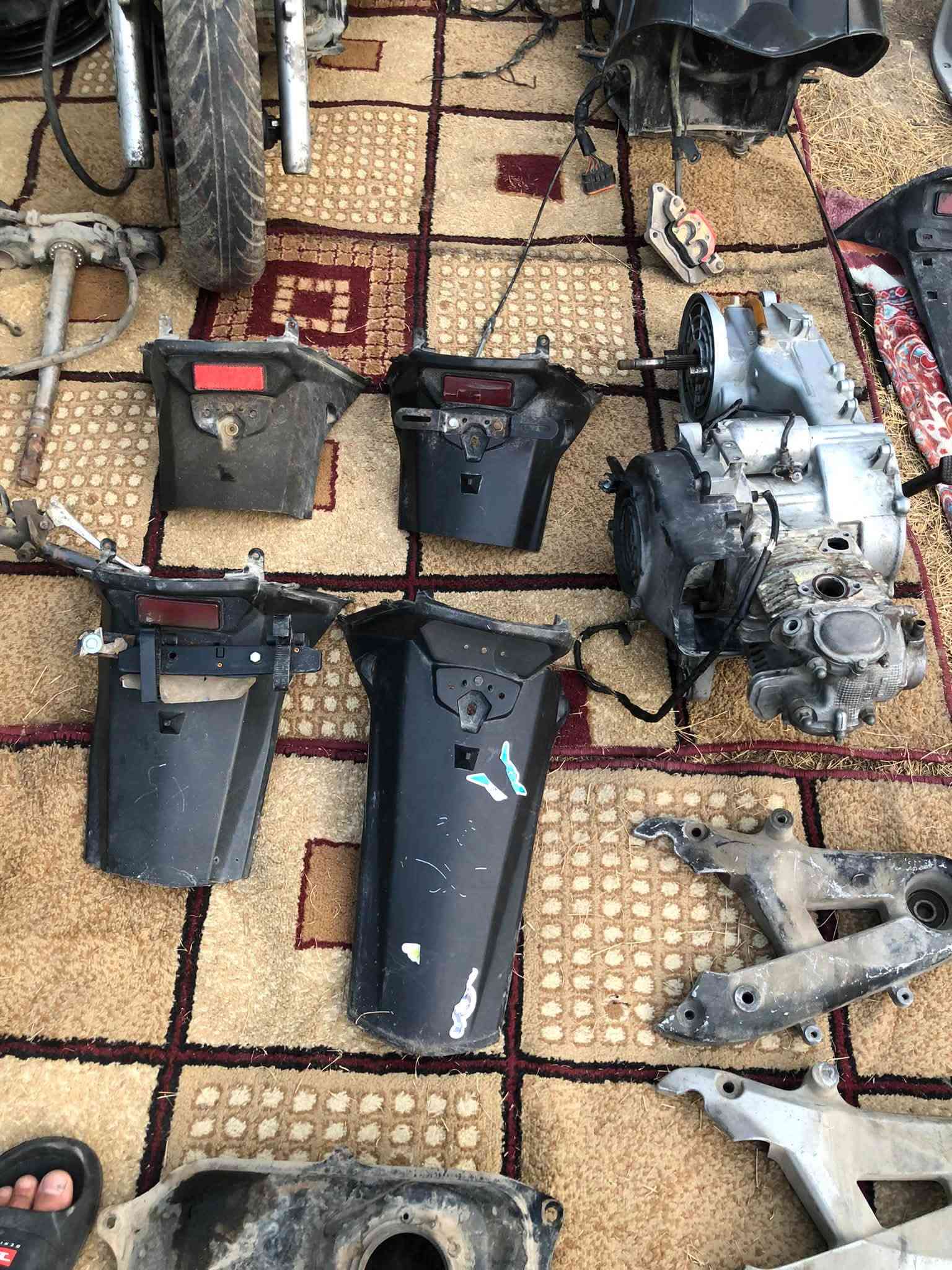 شواصي ثنين واحد مال سكنس فحل وثاني مال سكنس فحل طلاعات كاملات الاخير وغراض خير من الله شتحتاج خابرني 
ملاحظه ( غراض مال ماكس همات ) 
بغداد ألشعب ***********

