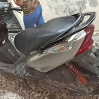 سكنس ثعلب • سلف • كامل