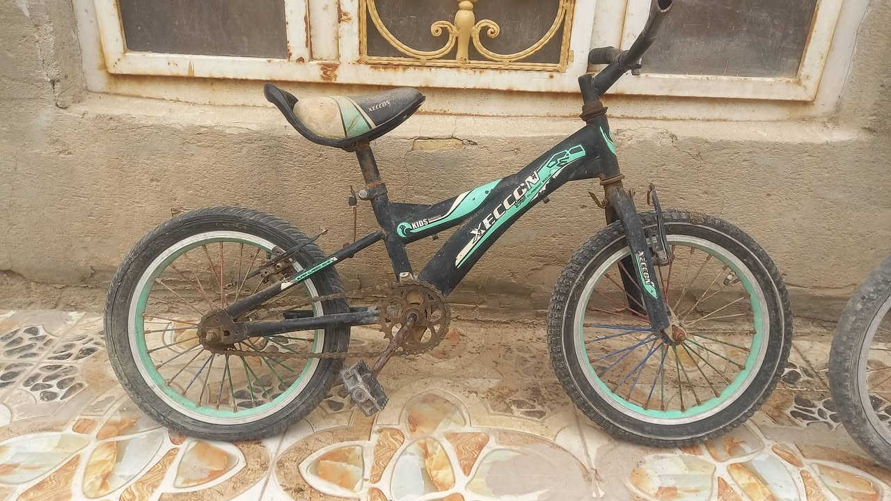 بايسكل أطفال • سوق الشيوخ • عدد ٢