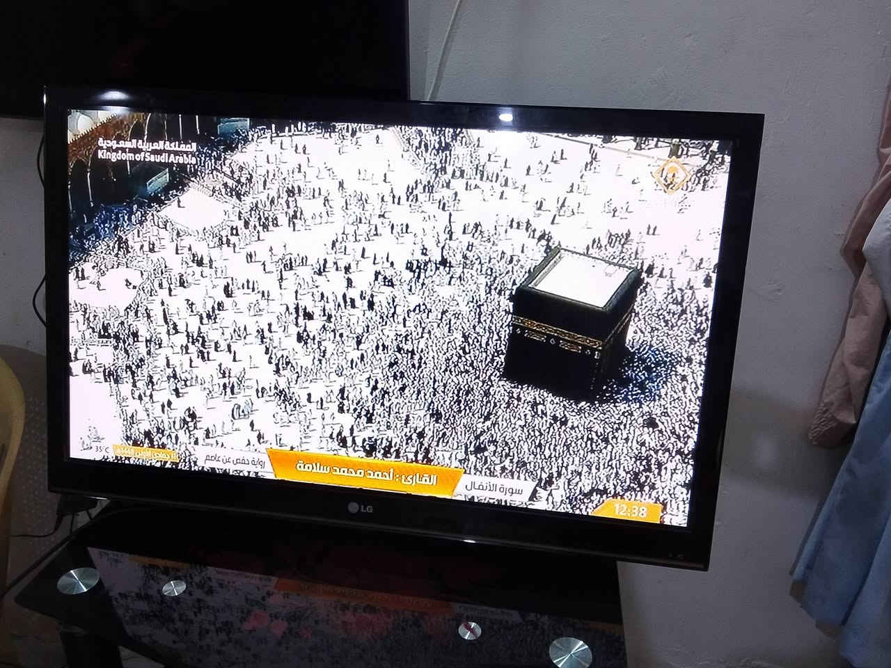 شورت شغل • مقاس ٤٢