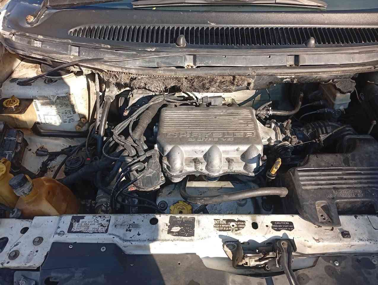 سياره دودج موديل 2000 قطر الصبغ ما بيها سياره باسمي تحويل ثاني يوم سنه 29 كهربائيات كلها جرستون شاده مال حاويه ماكينه كفاله تخم تاير كله جديد سياره ما ناقصها اي شيء بيها نقص بس تبريد نقصها بس الكمبريسر مكان السياره ببغداد حي العامل مكينه 3000 مكينه كالوفر ب 48 وبيها مجال ***********
