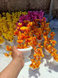 مجمع دانية • حي السرور • قطعة للبيع