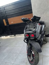 سكنس جبلي • صيني • ٢٠٢٤