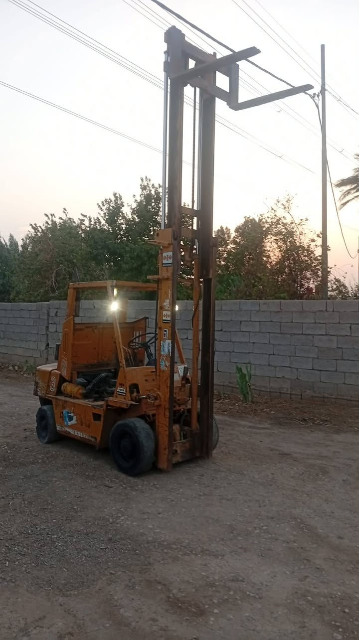 شوكيه • جاهزة