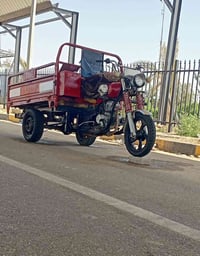 ستوتة • ٢٠١٩ • ٢٤