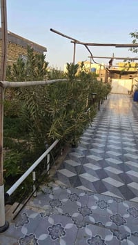ال نياز • ٩٠٠م • طابقين