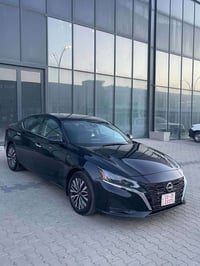 التيما • ٢٠٢٤ • كركوك