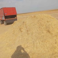تبن • نضافة • سكران الغربي