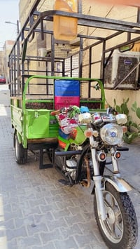 ستوته • ٢٠٢٢ • اوراق كامله