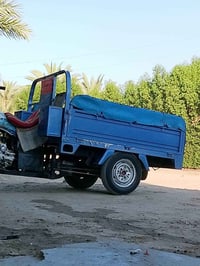 كفاله • طالعة بسنتها