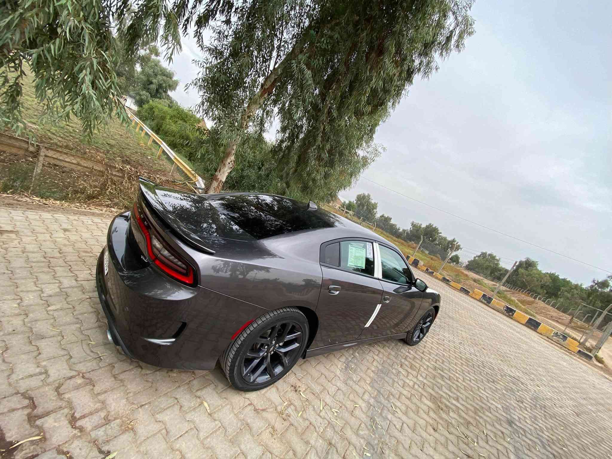 تشارجر GT • ٢٠٢٣ • رقم بغداد
