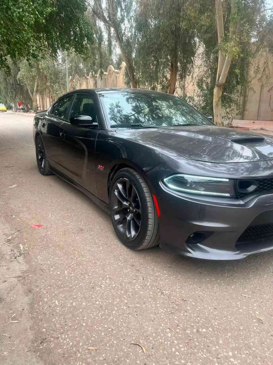 السعر 230 وبيه مجال
جارجر سكات باك ٢٠٢٣ ((رقم بغداد)) للبيع
قطعتين فقط البنيد مبدل و جاملغ خلفي  مصبوغ شبر منه ايرباك ستيرن ودشبول 
ماشيه ٢٤ الف 
مواصفات كشنات قماش 
شاشة كبيرة
سستم صوت الباين
حساسات خلفية 
كرسي السايق كهرباء
تدفئة كشنات تدفئة ستيرن
مكان السيارة بغداد الحارثية
للاستفسار ***********
