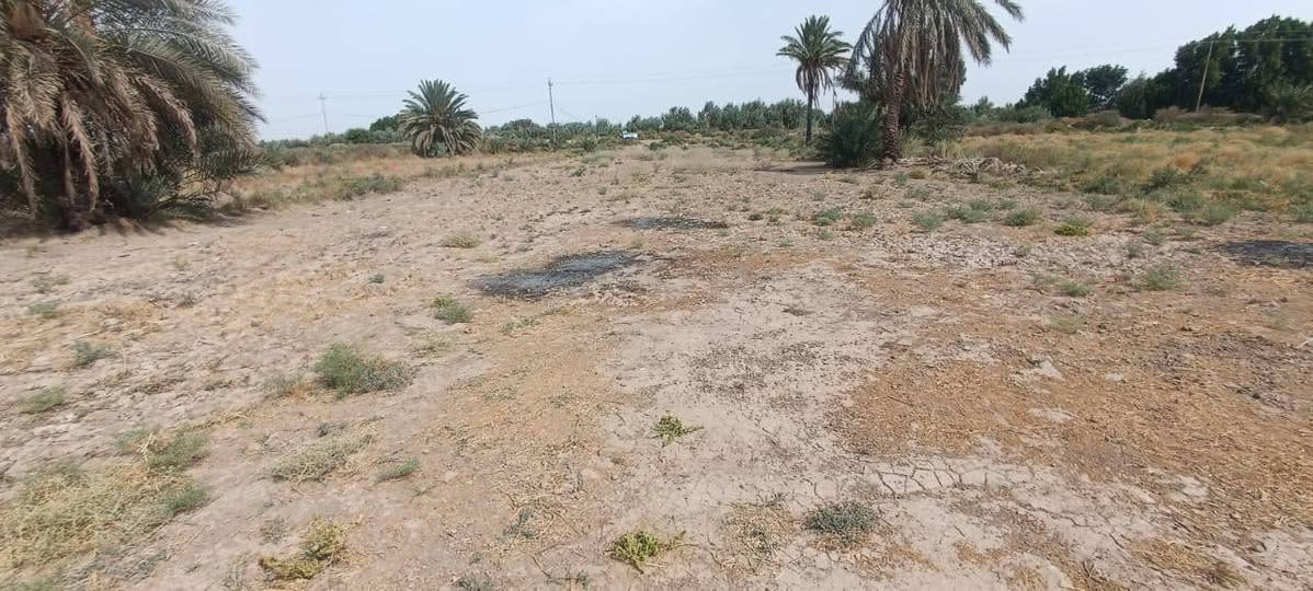 ال عواد الرعده • ١٦٠٠م • زراعيه