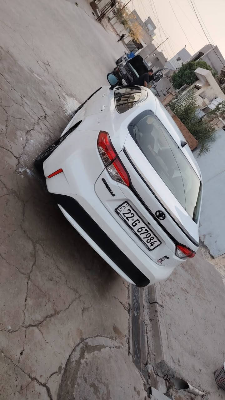 كورلا • ٢٠٢٠ • صبغ عام