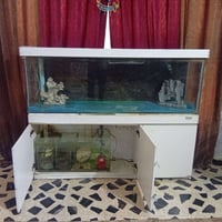 حوض اسماك • ١٫٨م • فلوڤال