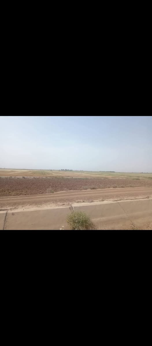 ارض زراعي • ٥ دونم • طريق شاشه سوان