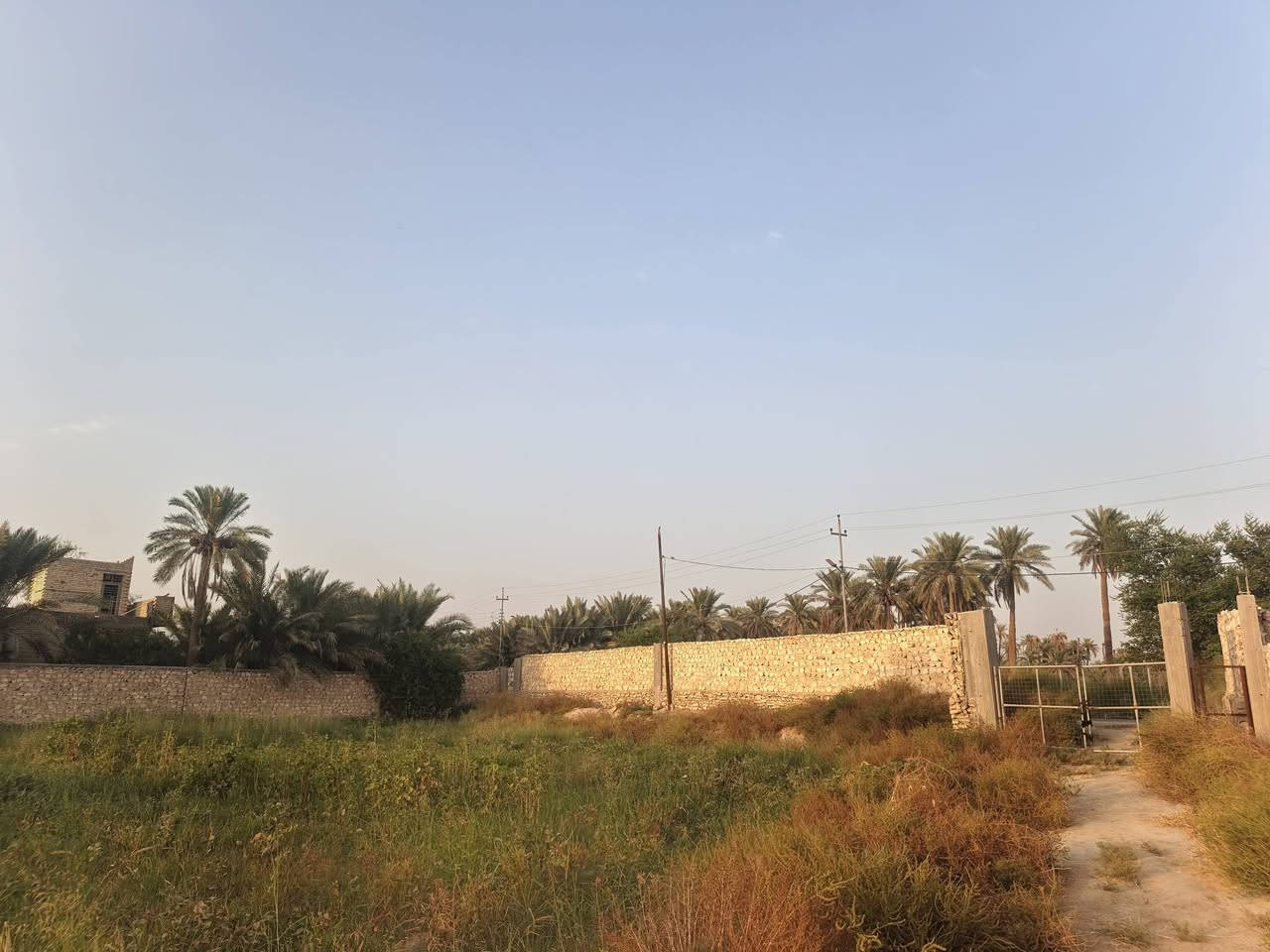 دونم • شط الكوفه • سند ٢٥