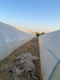 بيوت بلاستيكية • حديد ١.٥مم تركي • دهوك