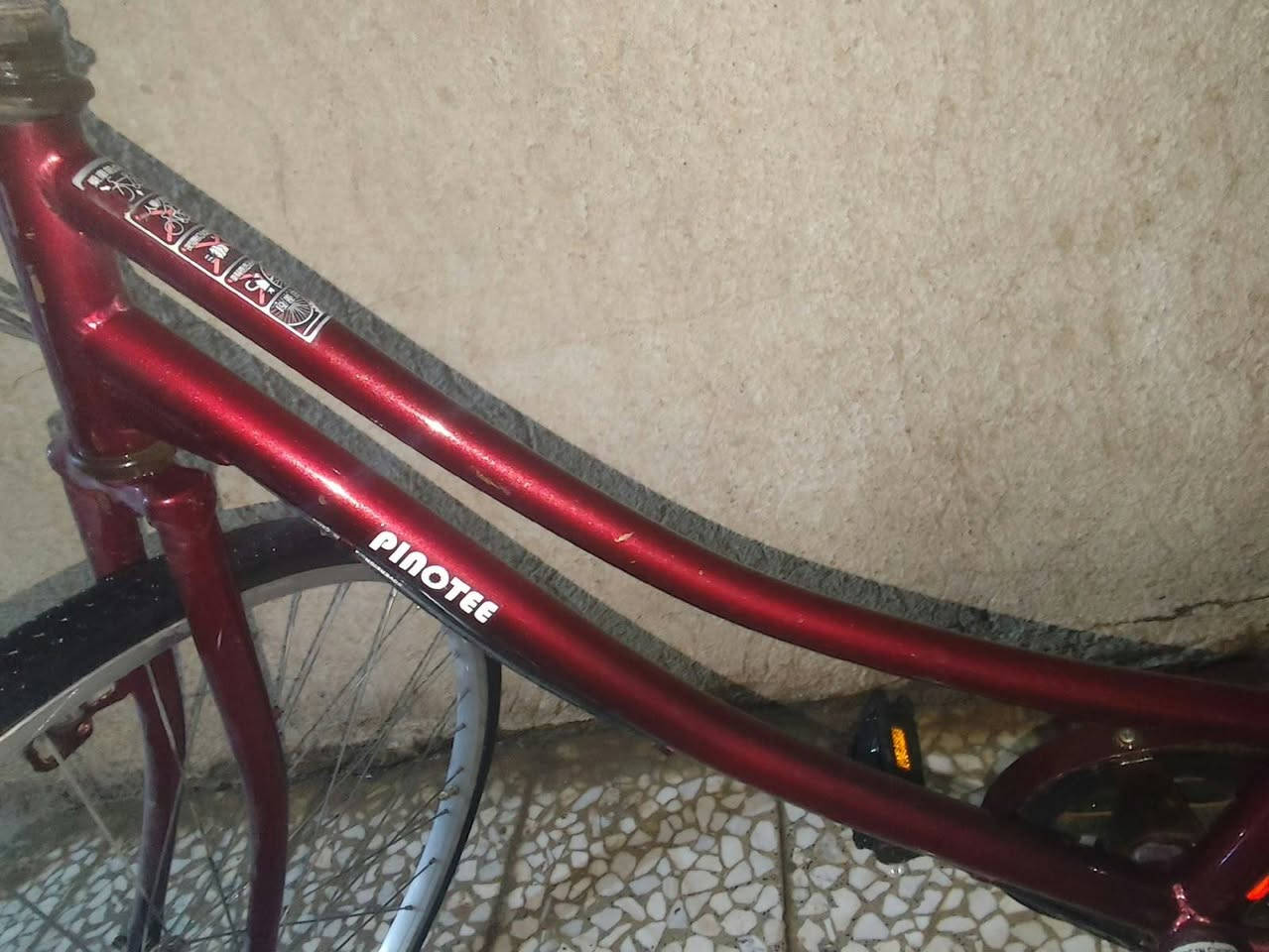 بسكليت • بطه • قياس ٢٦