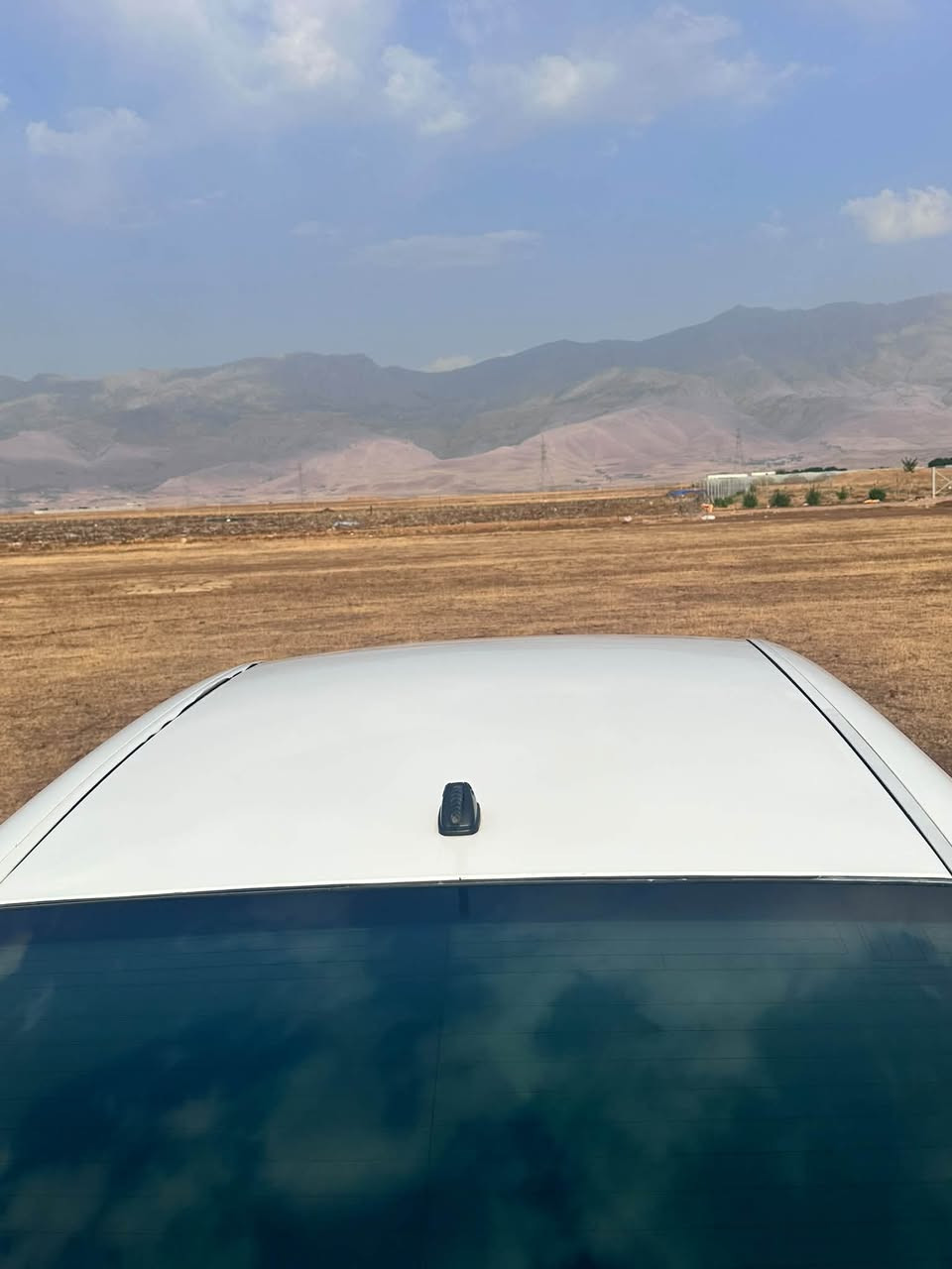شاهینە بڕاوە • ٢٠٠٧ • ١١٣٠٠٠