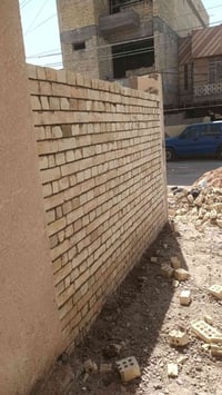 ناشور • متفرغ